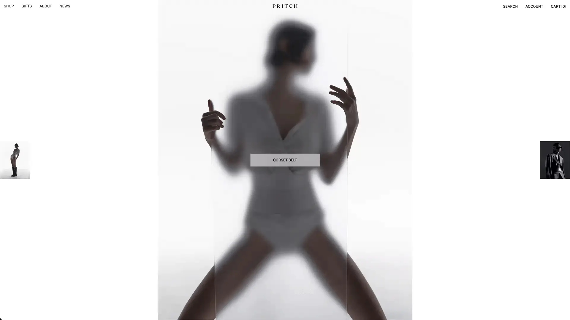 Pritch project preview